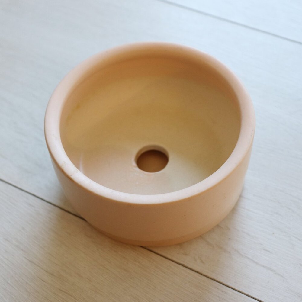 Pigment peach succulent bowl with saucer